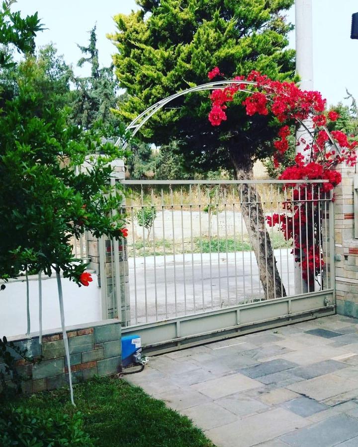 Fantastic Villa, A 5 Minute Drive From The Beach! Athen Eksteriør bilde