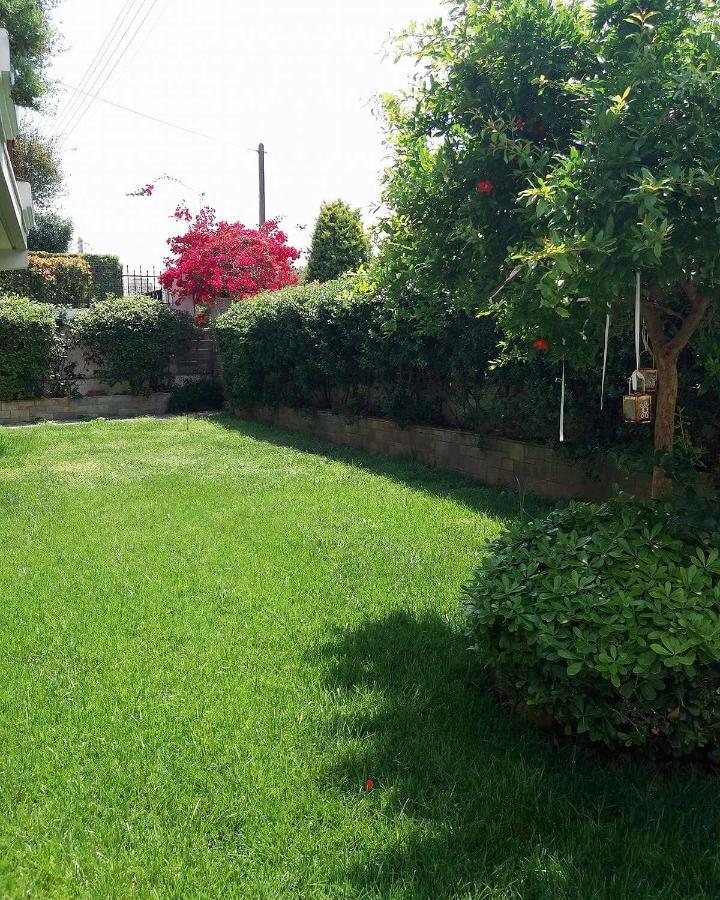 Fantastic Villa, A 5 Minute Drive From The Beach! Athen Eksteriør bilde