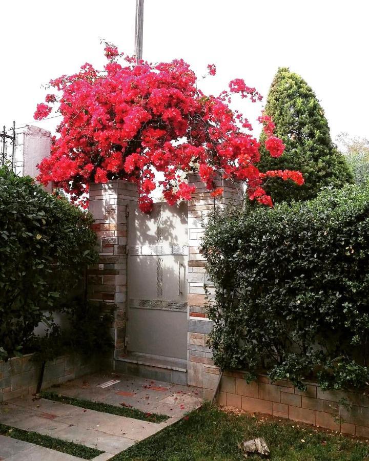 Fantastic Villa, A 5 Minute Drive From The Beach! Athen Eksteriør bilde